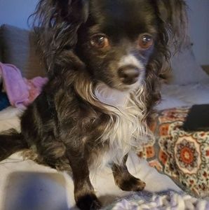 Meet your Posher, Joyce